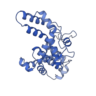 16183_8bqe_F_v1-0
In situ structure of the Caulobacter crescentus S-layer
