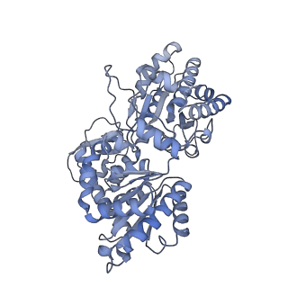 16184_8bqs_A0_v1-0
Cryo-EM structure of the I-II-III2-IV2 respiratory supercomplex from Tetrahymena thermophila