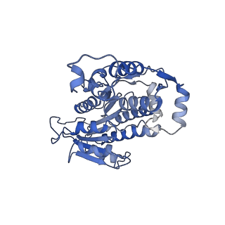 16184_8bqs_A1_v1-0
Cryo-EM structure of the I-II-III2-IV2 respiratory supercomplex from Tetrahymena thermophila