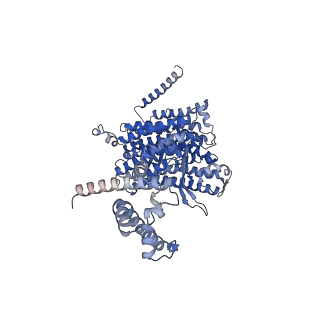 16184_8bqs_AA_v1-0
Cryo-EM structure of the I-II-III2-IV2 respiratory supercomplex from Tetrahymena thermophila