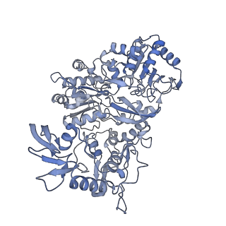 16184_8bqs_AB_v1-0
Cryo-EM structure of the I-II-III2-IV2 respiratory supercomplex from Tetrahymena thermophila