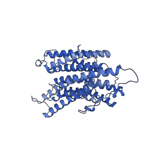 16184_8bqs_AC_v1-0
Cryo-EM structure of the I-II-III2-IV2 respiratory supercomplex from Tetrahymena thermophila