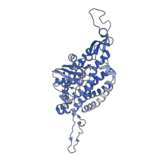 16184_8bqs_AE_v1-0
Cryo-EM structure of the I-II-III2-IV2 respiratory supercomplex from Tetrahymena thermophila