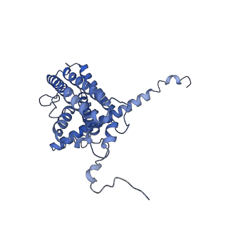 16184_8bqs_AH_v1-0
Cryo-EM structure of the I-II-III2-IV2 respiratory supercomplex from Tetrahymena thermophila