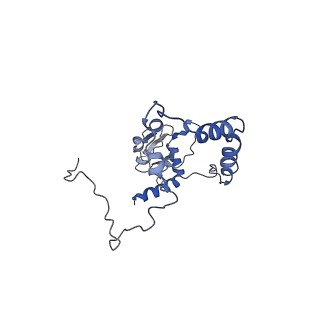 16184_8bqs_AL_v1-0
Cryo-EM structure of the I-II-III2-IV2 respiratory supercomplex from Tetrahymena thermophila