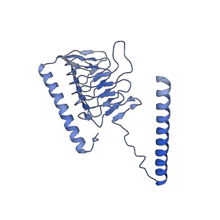 16184_8bqs_AM_v1-0
Cryo-EM structure of the I-II-III2-IV2 respiratory supercomplex from Tetrahymena thermophila