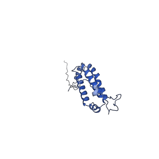 16184_8bqs_AN_v1-0
Cryo-EM structure of the I-II-III2-IV2 respiratory supercomplex from Tetrahymena thermophila