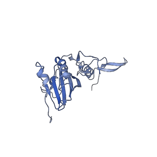 16184_8bqs_AO_v1-0
Cryo-EM structure of the I-II-III2-IV2 respiratory supercomplex from Tetrahymena thermophila