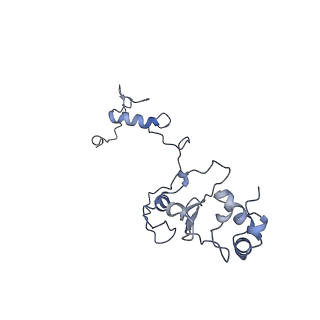 16184_8bqs_AP_v1-0
Cryo-EM structure of the I-II-III2-IV2 respiratory supercomplex from Tetrahymena thermophila
