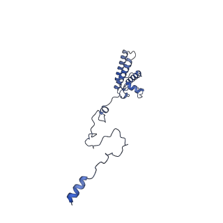 16184_8bqs_AQ_v1-0
Cryo-EM structure of the I-II-III2-IV2 respiratory supercomplex from Tetrahymena thermophila