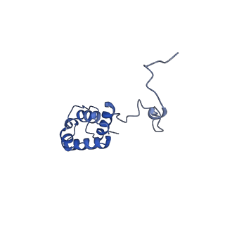16184_8bqs_AV_v1-0
Cryo-EM structure of the I-II-III2-IV2 respiratory supercomplex from Tetrahymena thermophila