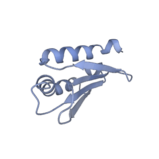 16184_8bqs_AZ_v1-0
Cryo-EM structure of the I-II-III2-IV2 respiratory supercomplex from Tetrahymena thermophila