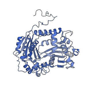 16184_8bqs_A_v1-0
Cryo-EM structure of the I-II-III2-IV2 respiratory supercomplex from Tetrahymena thermophila