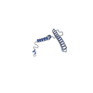 16184_8bqs_B1_v1-0
Cryo-EM structure of the I-II-III2-IV2 respiratory supercomplex from Tetrahymena thermophila