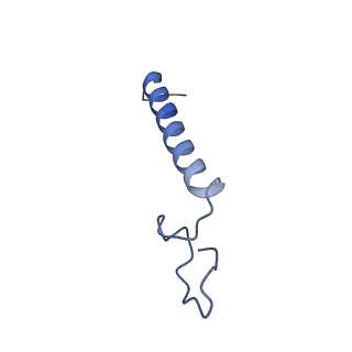 16184_8bqs_B5_v1-0
Cryo-EM structure of the I-II-III2-IV2 respiratory supercomplex from Tetrahymena thermophila