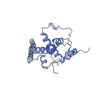 16184_8bqs_BA_v1-0
Cryo-EM structure of the I-II-III2-IV2 respiratory supercomplex from Tetrahymena thermophila