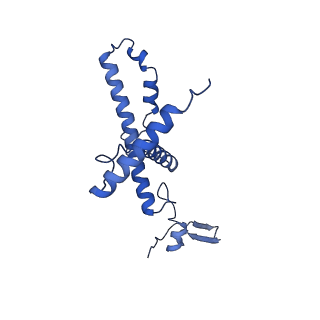 16184_8bqs_BF_v1-0
Cryo-EM structure of the I-II-III2-IV2 respiratory supercomplex from Tetrahymena thermophila