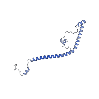 16184_8bqs_BG_v1-0
Cryo-EM structure of the I-II-III2-IV2 respiratory supercomplex from Tetrahymena thermophila
