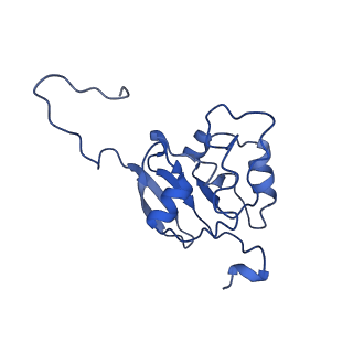 16184_8bqs_BI_v1-0
Cryo-EM structure of the I-II-III2-IV2 respiratory supercomplex from Tetrahymena thermophila