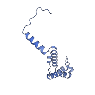 16184_8bqs_BK_v1-0
Cryo-EM structure of the I-II-III2-IV2 respiratory supercomplex from Tetrahymena thermophila