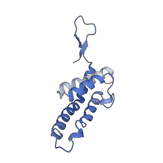 16184_8bqs_BO_v1-0
Cryo-EM structure of the I-II-III2-IV2 respiratory supercomplex from Tetrahymena thermophila