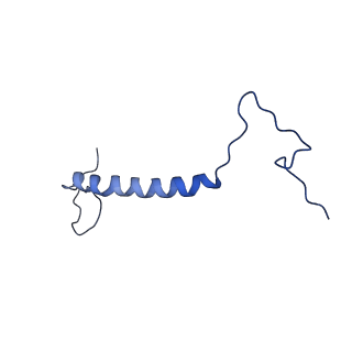 16184_8bqs_BP_v1-0
Cryo-EM structure of the I-II-III2-IV2 respiratory supercomplex from Tetrahymena thermophila