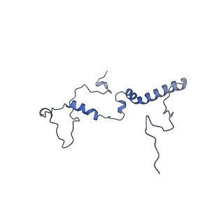 16184_8bqs_BT_v1-0
Cryo-EM structure of the I-II-III2-IV2 respiratory supercomplex from Tetrahymena thermophila