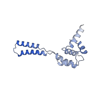 16184_8bqs_BU_v1-0
Cryo-EM structure of the I-II-III2-IV2 respiratory supercomplex from Tetrahymena thermophila