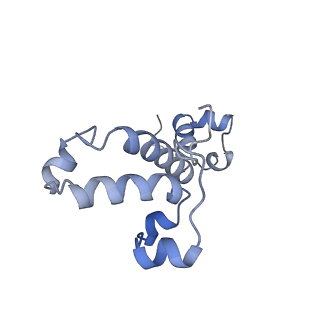 16184_8bqs_BW_v1-0
Cryo-EM structure of the I-II-III2-IV2 respiratory supercomplex from Tetrahymena thermophila