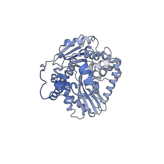 16184_8bqs_B_v1-0
Cryo-EM structure of the I-II-III2-IV2 respiratory supercomplex from Tetrahymena thermophila