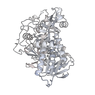 16184_8bqs_CA_v1-0
Cryo-EM structure of the I-II-III2-IV2 respiratory supercomplex from Tetrahymena thermophila