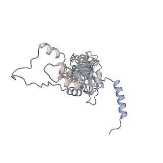 16184_8bqs_CB_v1-0
Cryo-EM structure of the I-II-III2-IV2 respiratory supercomplex from Tetrahymena thermophila