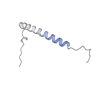 16184_8bqs_CC_v1-0
Cryo-EM structure of the I-II-III2-IV2 respiratory supercomplex from Tetrahymena thermophila