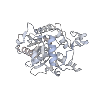 16184_8bqs_CE_v1-0
Cryo-EM structure of the I-II-III2-IV2 respiratory supercomplex from Tetrahymena thermophila