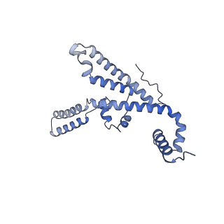 16184_8bqs_CF_v1-0
Cryo-EM structure of the I-II-III2-IV2 respiratory supercomplex from Tetrahymena thermophila