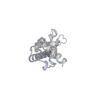 16184_8bqs_CG_v1-0
Cryo-EM structure of the I-II-III2-IV2 respiratory supercomplex from Tetrahymena thermophila