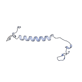16184_8bqs_CM_v1-0
Cryo-EM structure of the I-II-III2-IV2 respiratory supercomplex from Tetrahymena thermophila