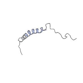 16184_8bqs_CN_v1-0
Cryo-EM structure of the I-II-III2-IV2 respiratory supercomplex from Tetrahymena thermophila