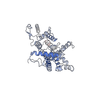 16184_8bqs_C_v1-0
Cryo-EM structure of the I-II-III2-IV2 respiratory supercomplex from Tetrahymena thermophila