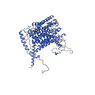 16184_8bqs_DA_v1-0
Cryo-EM structure of the I-II-III2-IV2 respiratory supercomplex from Tetrahymena thermophila