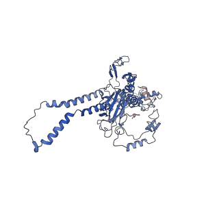 16184_8bqs_DB_v1-0
Cryo-EM structure of the I-II-III2-IV2 respiratory supercomplex from Tetrahymena thermophila
