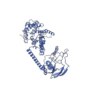 16184_8bqs_DD_v1-0
Cryo-EM structure of the I-II-III2-IV2 respiratory supercomplex from Tetrahymena thermophila