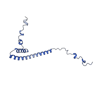16184_8bqs_DE_v1-0
Cryo-EM structure of the I-II-III2-IV2 respiratory supercomplex from Tetrahymena thermophila