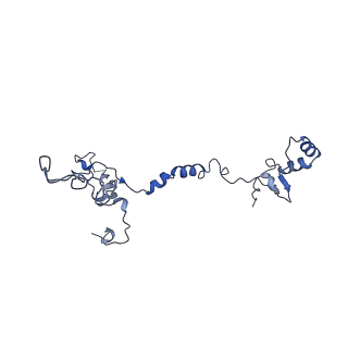 16184_8bqs_DI_v1-0
Cryo-EM structure of the I-II-III2-IV2 respiratory supercomplex from Tetrahymena thermophila