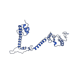 16184_8bqs_DJ_v1-0
Cryo-EM structure of the I-II-III2-IV2 respiratory supercomplex from Tetrahymena thermophila