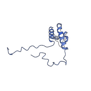 16184_8bqs_DK_v1-0
Cryo-EM structure of the I-II-III2-IV2 respiratory supercomplex from Tetrahymena thermophila