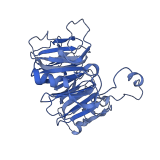 16184_8bqs_DL_v1-0
Cryo-EM structure of the I-II-III2-IV2 respiratory supercomplex from Tetrahymena thermophila
