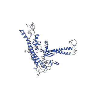 16184_8bqs_DM_v1-0
Cryo-EM structure of the I-II-III2-IV2 respiratory supercomplex from Tetrahymena thermophila