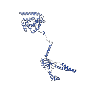 16184_8bqs_DO_v1-0
Cryo-EM structure of the I-II-III2-IV2 respiratory supercomplex from Tetrahymena thermophila