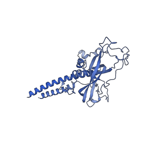 16184_8bqs_DP_v1-0
Cryo-EM structure of the I-II-III2-IV2 respiratory supercomplex from Tetrahymena thermophila